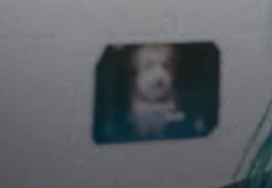 Comment image
