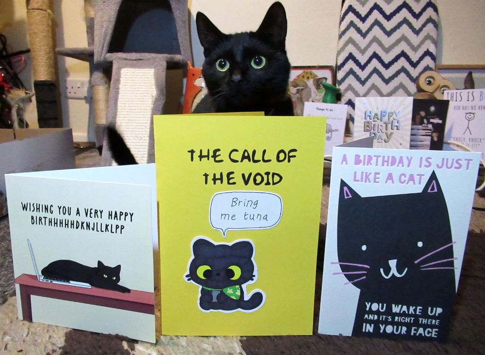 A row of three birthday cards featuring black cats with Void Baby the black cat glaring out from behind them, correctly suspecting he's being targeted