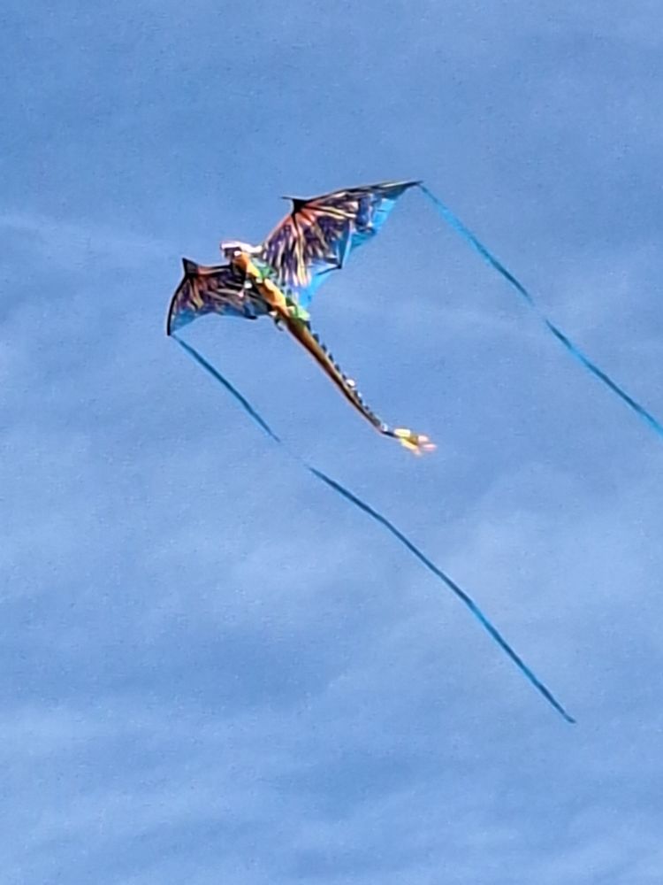 Bunter Flugdrache im Drachendesign vor blauem Himmel.