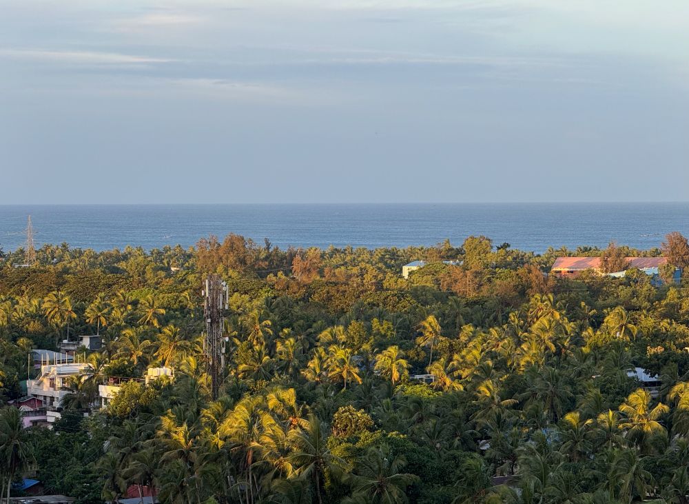 A scenic coastal landscape at sunrise, featuring dense green trees and palm groves, a few houses nestled among the foliage, and the serene blue ocean stretching out under a clear sky. The gentle golden morning light shines over the trees, creating a peaceful tropical atmosphere.