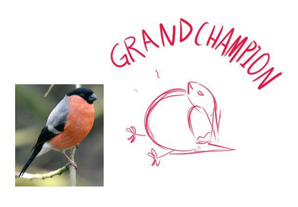 Comment image