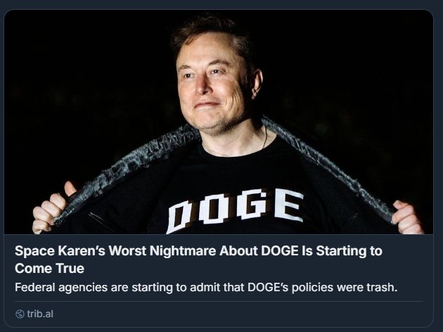 Screenshot of an article link where the words "Elon Musk" have been replaced with "Space Karen" through a browser extension.