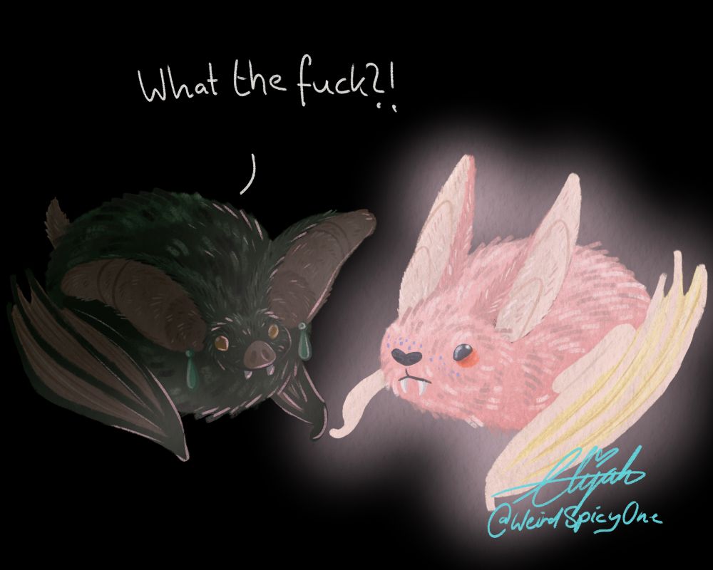 Same picture, but in the dark. Caleb glows in the dark. Elijah responds with a confused 'What the fuck?!'