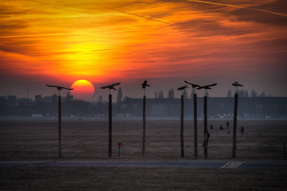 Ein dramatischer, leuchtend oranger Sonnenuntergang. Im Vordergrund das Tempelhofer Flugfeld mit auf hohen Holzstämmen montierten großen geschnitzten Krähen