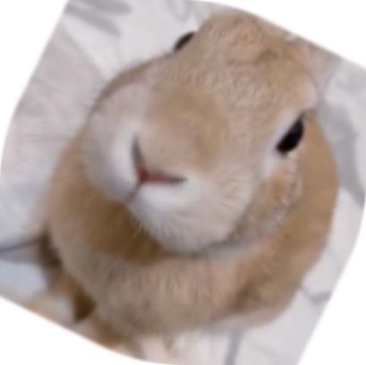 Slungus rotated at a 26 degree angle, slowly getting more and more rounded out