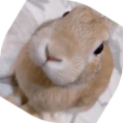 Slungus rotated at a 31 degree angle 