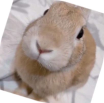 Slungus rotated at a 17 degree angle 