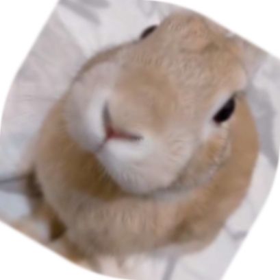 Slungus rotated at a 30 degree angle, getting rounded out slightly more