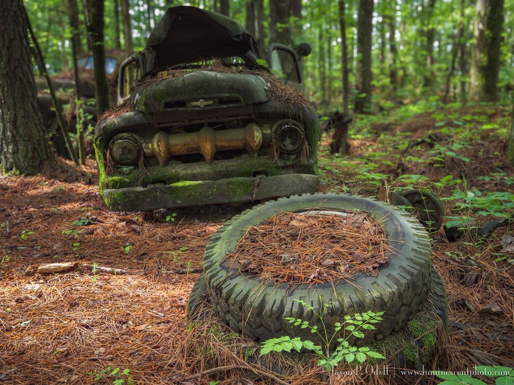 Stack of tires covered in pine needles with a rusted 1950s vintage pickup truck in the woods 