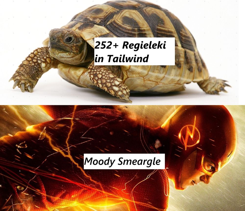 Turtoise with text '252+ Regieleki in Tailwind and The Flash with text 'Moody Smeargle'