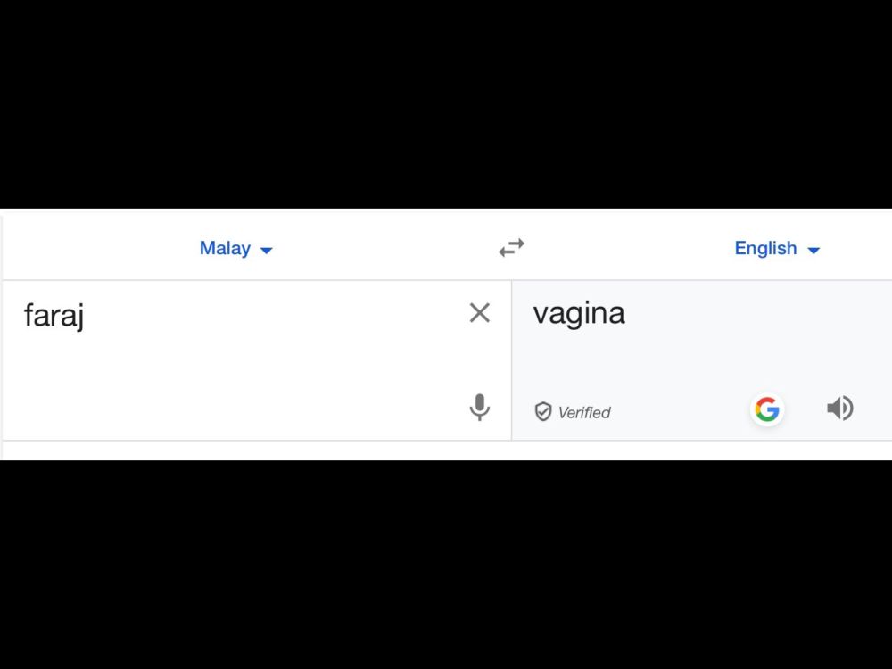 Google Translate, showing that the Malaysia word ‘faraj’ translates into English as ‘vagina’’.

The misogyny of the man knows no bounds. I can only hope that ‘women as a whole’ realise they owe him nothing, and he is left without a home in his own constituency. 

