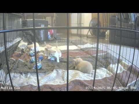 One month update