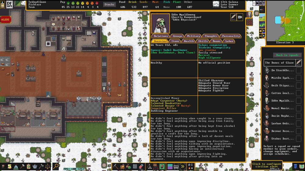 Screenshot from the game Dwarf Fortress showing what I report in the post
