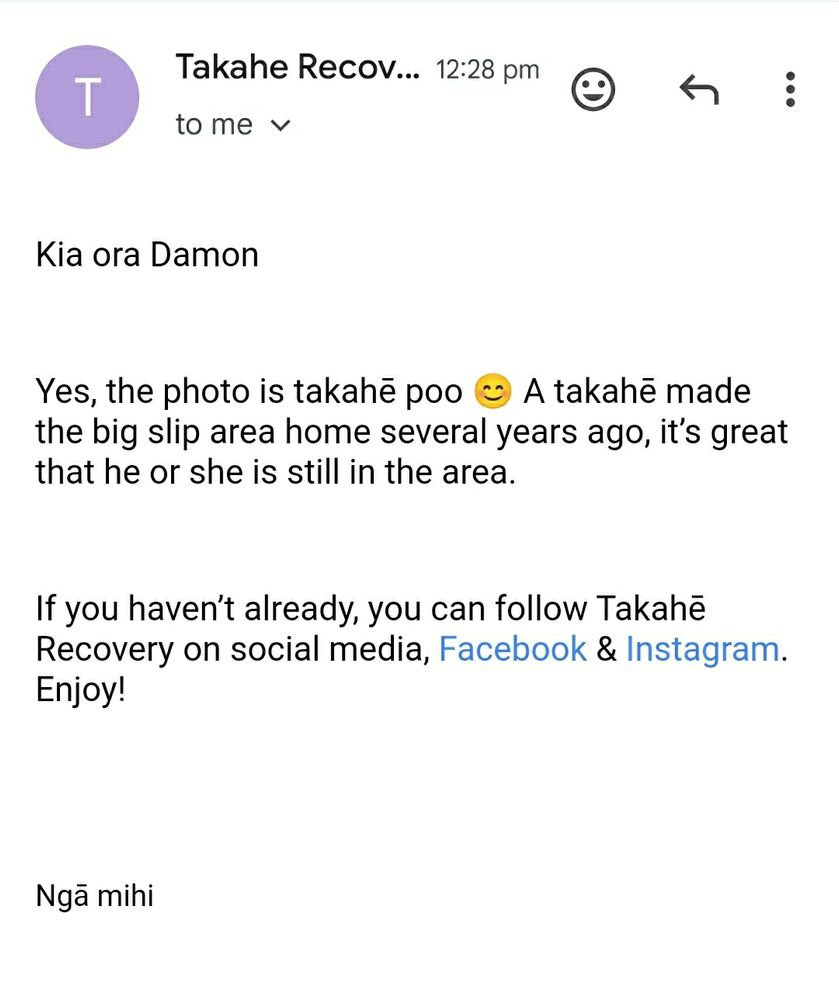 Email message from the Department of Conservation, confirming that my previously posted photo was in fact Takahe poop, and that a Takahe made the big slip area of the Kepler track it's home several years ago.