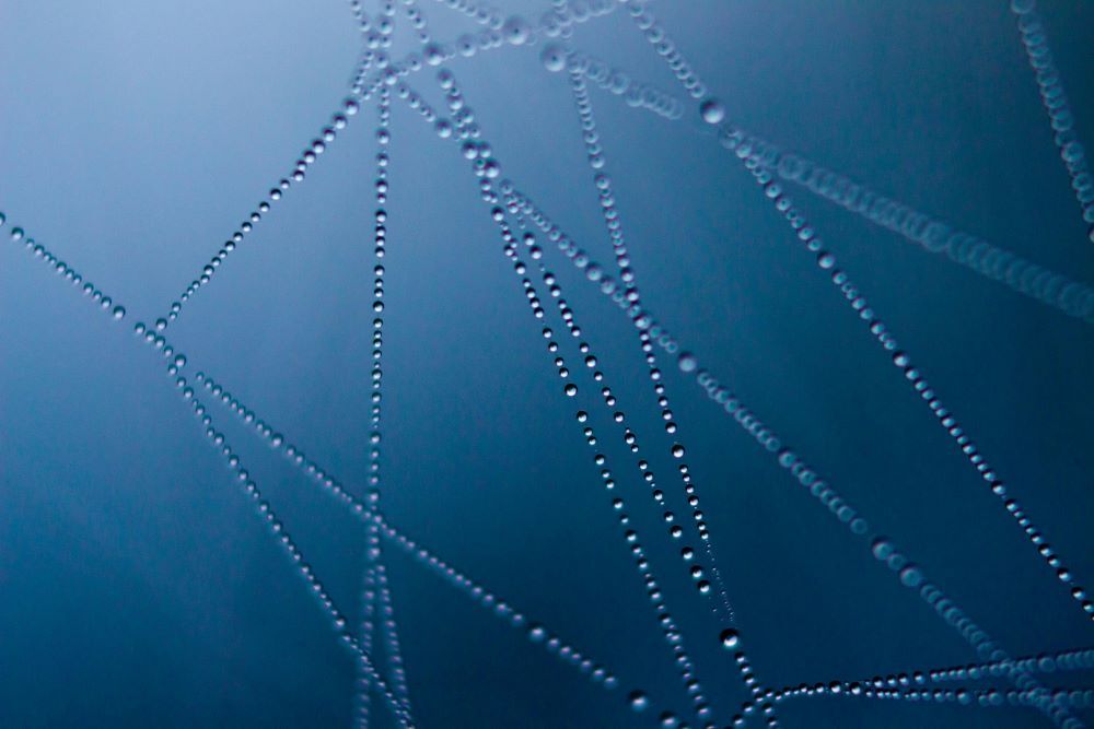 Connecting filaments