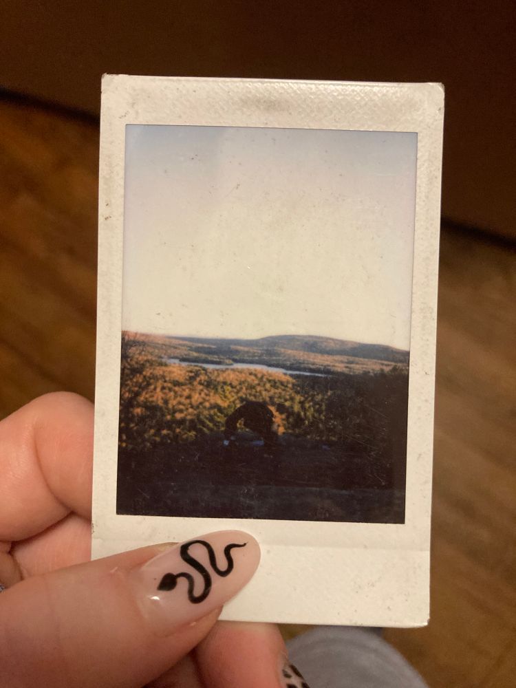 a clean polaroid showing an overhead view of trees and a body of water