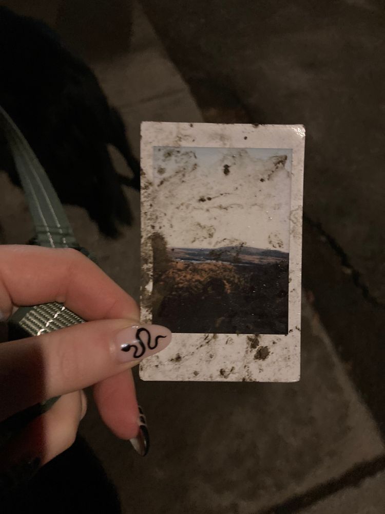 a dirt-covered polaroid