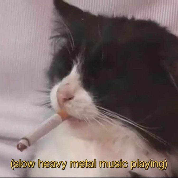 Black and white cat, eyes closed with a cigarette in its mouth with the caption in parenthesis "slow heavy metal music playing" 