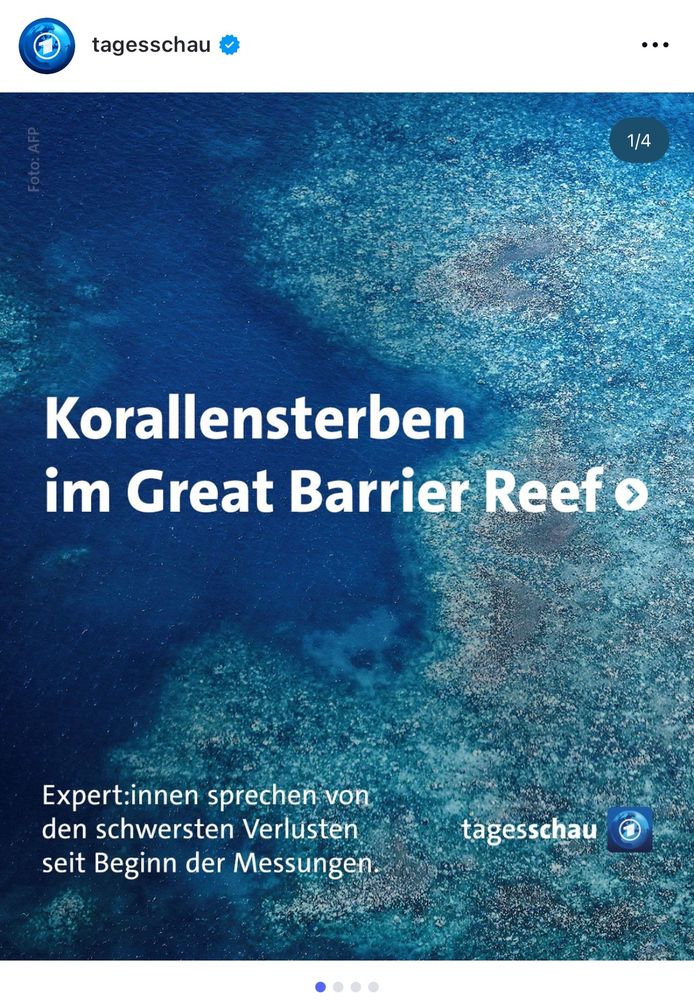 Luftaufnahme eines Teils des Great Barrier Reefs mit deutlichen Anzeichen von Korallenbleiche. Im Bild steht der Text: „Korallensterben im Great Barrier Reef – Expert:innen sprechen von den schwersten Verlusten seit Beginn der Messungen.“ Logo der Tagesschau oben links, Foto: AFP.