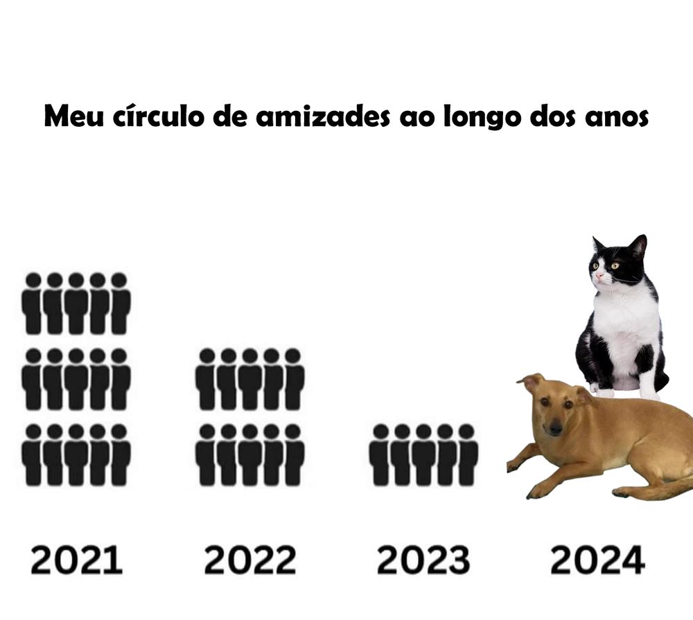 A imagem é um meme. Título: Meu círculo de amizades ao londo dos anos. Abaixo uma imagem com quinze silhuetas de pessoas representando humanos e abaixo delas o ano de 2021. Ao lado uma imagem com dez silhuetas de pessoas representando humanos e abaixo delas o ano de 2022. Ao lado uma imagem com cinco silhuetas de pessoas representando humanos e abaixo delas o ano de 2023. Por último a imagem de um viralata caramelo e um gato frajola e abaixo deles o ano de 2024.