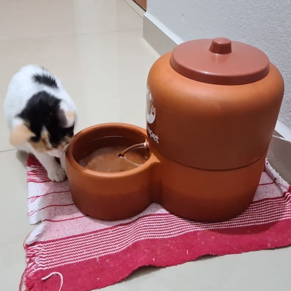 Fonte de água com filtro de barro para gatinhos sobre um tapete vermelho no chão e uma gatinha tricolor do lado pra tomar água