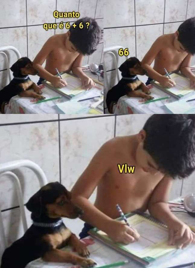 Imagem comosta por 3 fotos de um menino estudando de pé escrevendo no caderno apoiado na mesa e ao lado dele um cachorrinho viralata preto e marrom de pé na cadeira com as patas da frente apoiadas na mesa, o que muda são os diálogos. 1 O menino pergunta: Quanto é 6 + 6