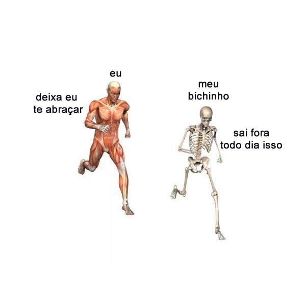 Meme de uma representação do corpo humano sem pele correndo atrás de um esqueleto. No corpo humano está escrito "Eu" e a legenda "Deixa eu te abraçar" e no esquelto está escrito "Meu bichinho" e a legenda "Sai fora todo dia isso"