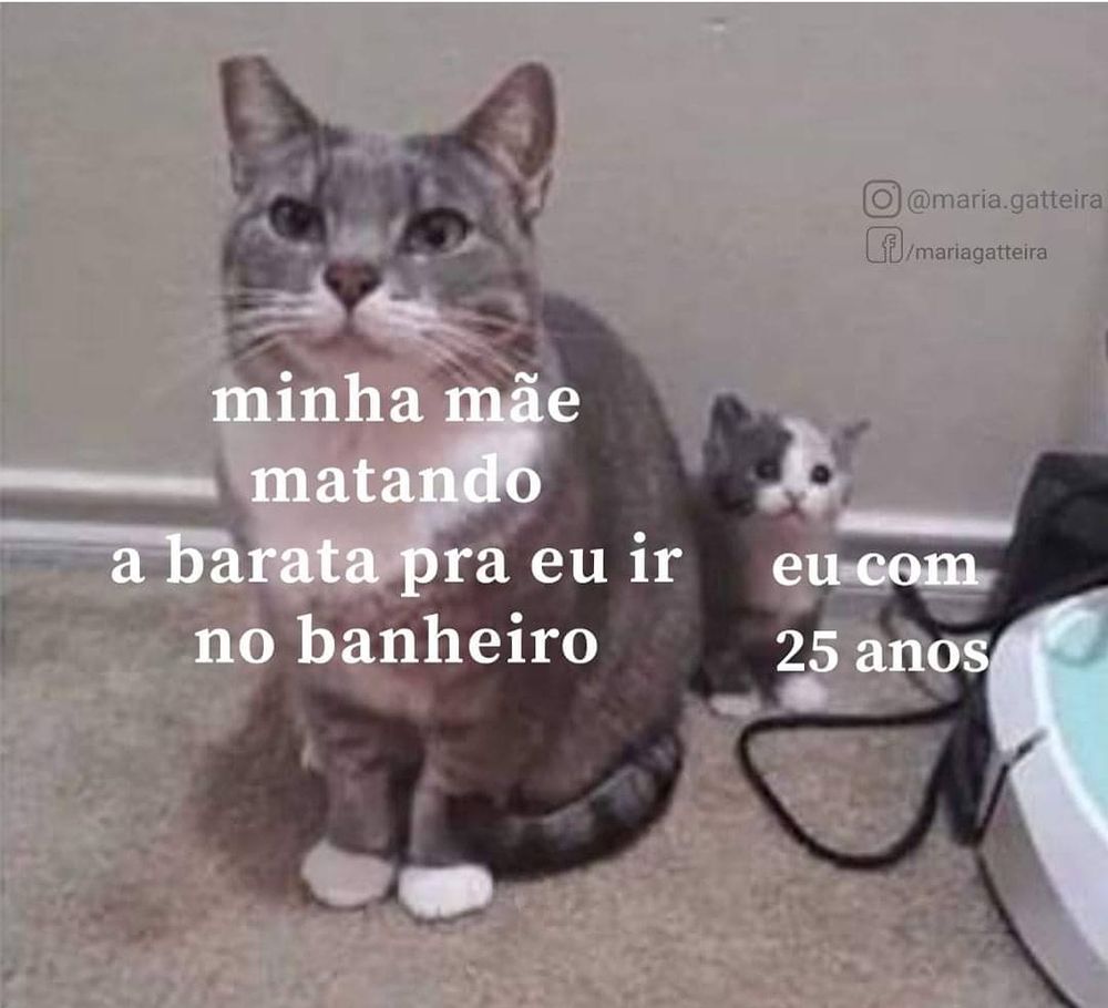 Gata cinza rajada com cara de má e atrás dela um filhotinho pititico de gatinho cinza e branco com carinha de preocupado. Na gata grande está escrito "Minha mãe matando a barata pra eu ir no banheiro" e no gato pequeno está escrito "Eu com 25 anos"