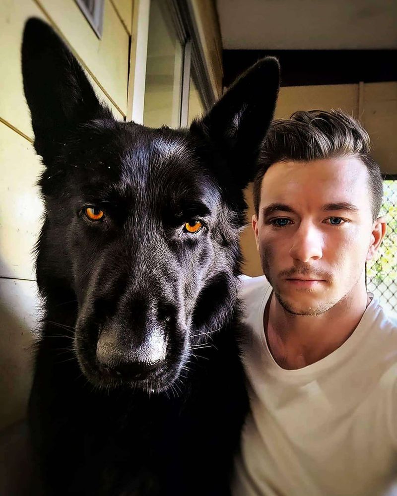 Uma selfie de um belo jovem rapaz ao lado de um cachorro preto de olhos amarelos muito bonito e fotogênico enorme com orelhas enormes e pontudas e a cabeça maior que a do rapaz olhando pra foto com cara de julgamento