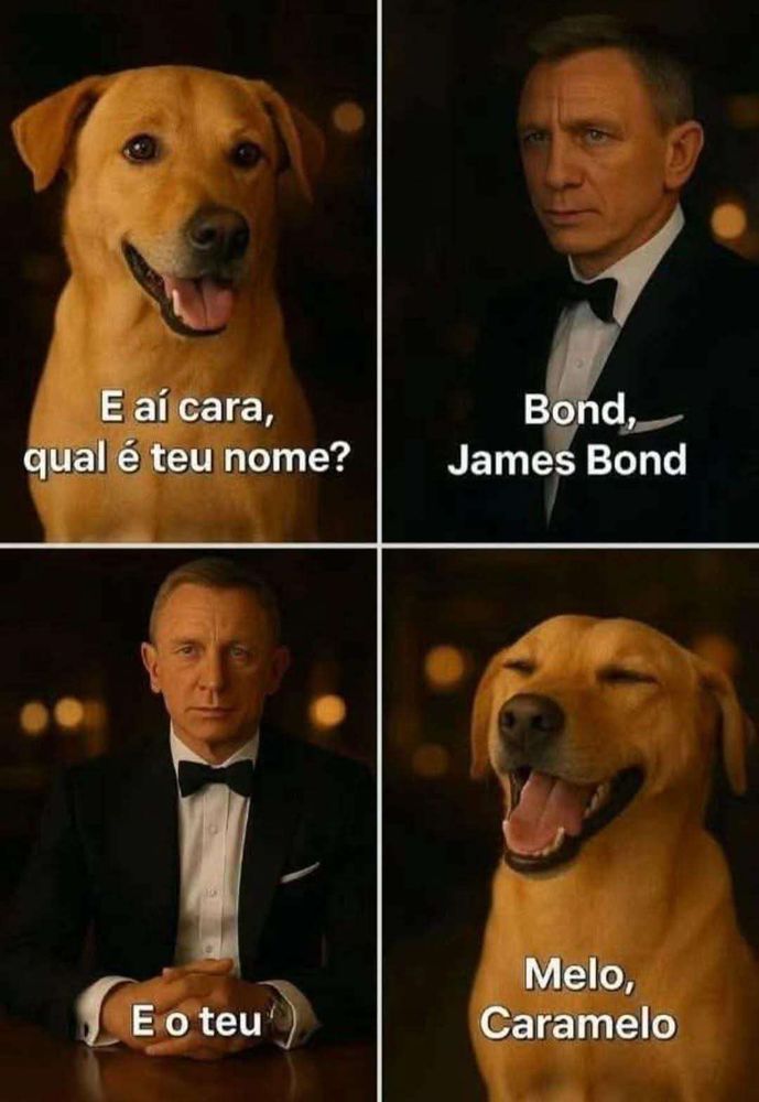 Tirinha formada por quatro fotos. 1 Rostinho de um cachorro caramelo super simpático e a fala 