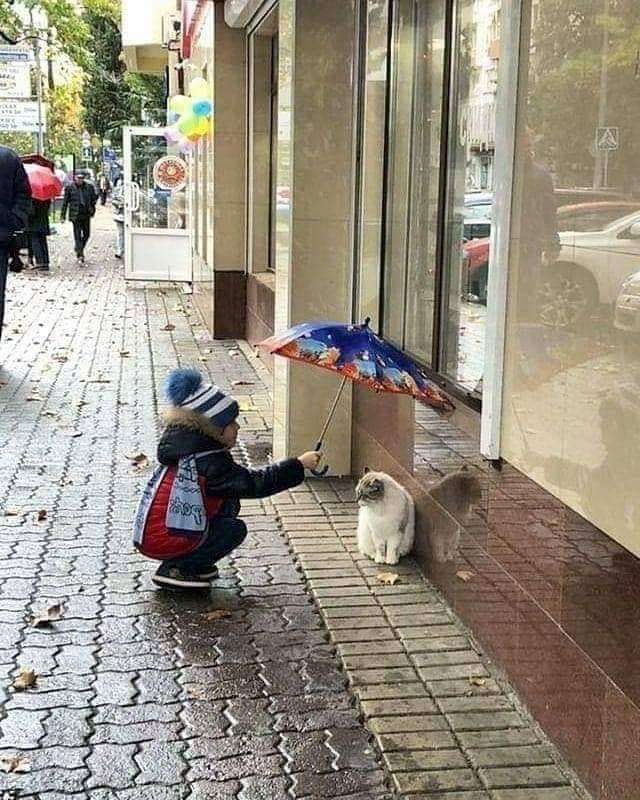 Criança vestindo roupinha de frio agachada na calçada molhada esticando o seu guarda chuva pra proteger um gatinho cinza sentado na calçada na beira do prédio