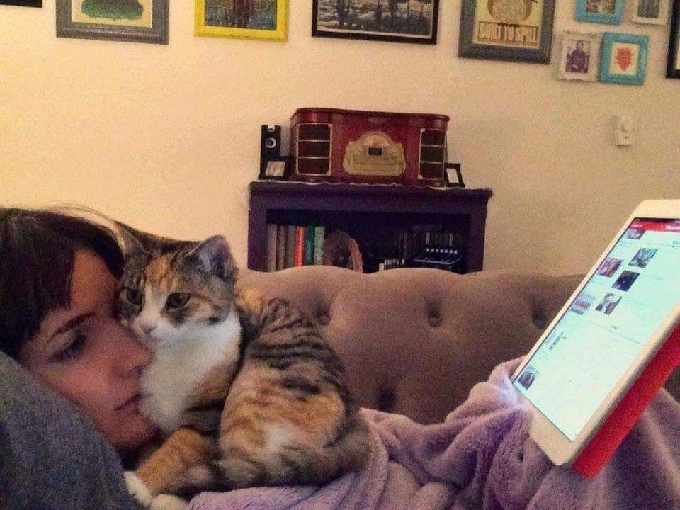 Mulher deitada no sofá coberta por um coberto roxo lendo num tablet e sentada no peito e encostada no rosto dela uma gatinha tricolor muito bem aconchegada
