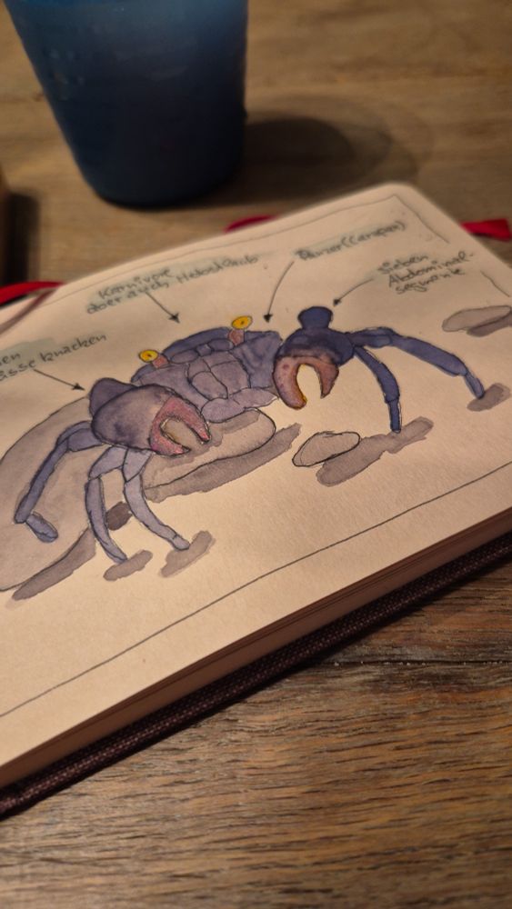 Die Vampirkrabbe von nahem