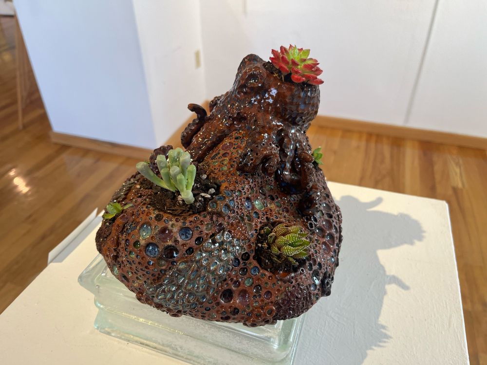 Sculptural octopus on a rock. Plants growing from different spots of the rock and various glaze colors in small holes all over the rock.