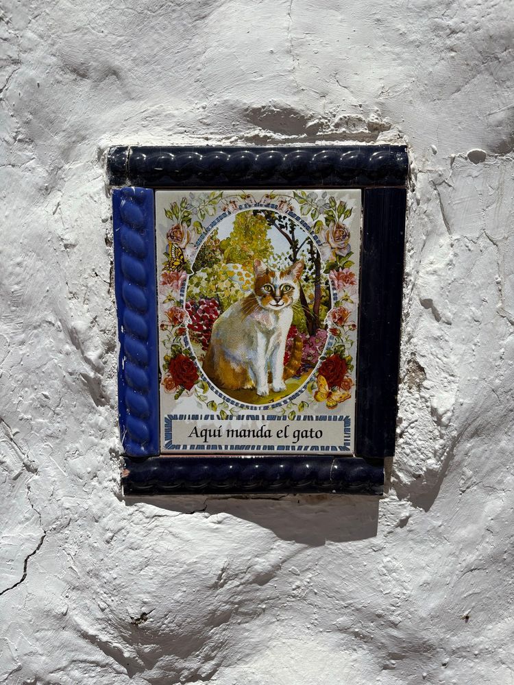Tile sign of a beige cat smiling surrounded by plants