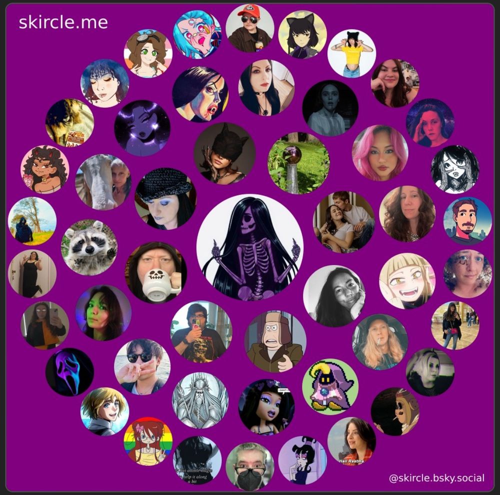 skircle results on purple background 