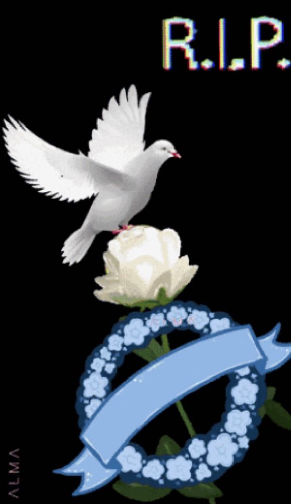 a white dove is sitting on top of a wreath that says descansa en pa