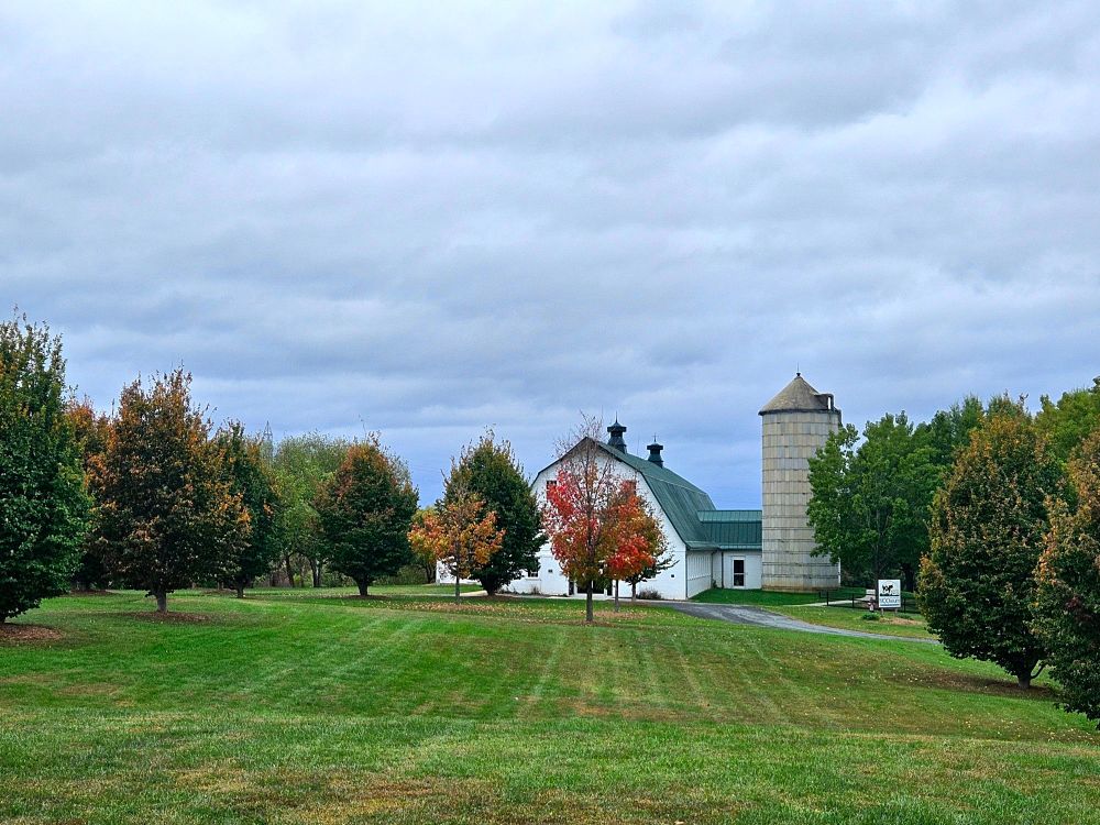 A photo of a white barn with a green tin roof and an adjacent silo. Trees stand in front of the barn, slowly turning autumnal colors, and a long green yard stretches between the barn and the viewer. Overhead the sky is cloudy and very grey. 