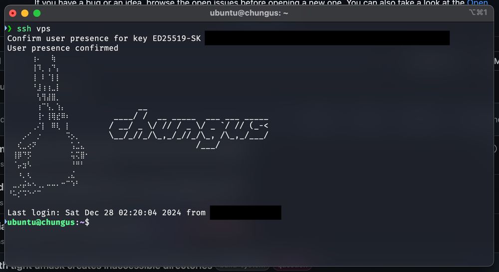 A terminal window showing an SSH login session to a VPS. The screen displays a user presence confirmation message for an ED25519-SK key. A "Big Chungus" ASCII art logo and matching text saying "chungus" is drawn, followed by the Ubuntu command prompt.