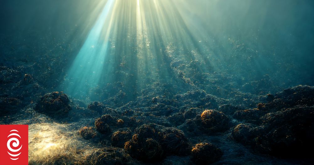 Calls grow for moratorium on seabed mining