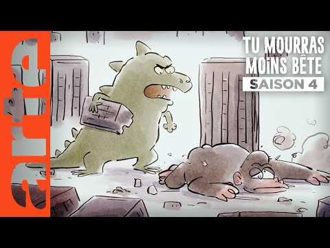 The taille is the limit | Tu mourras moins bête | SAISON 4 | ARTE