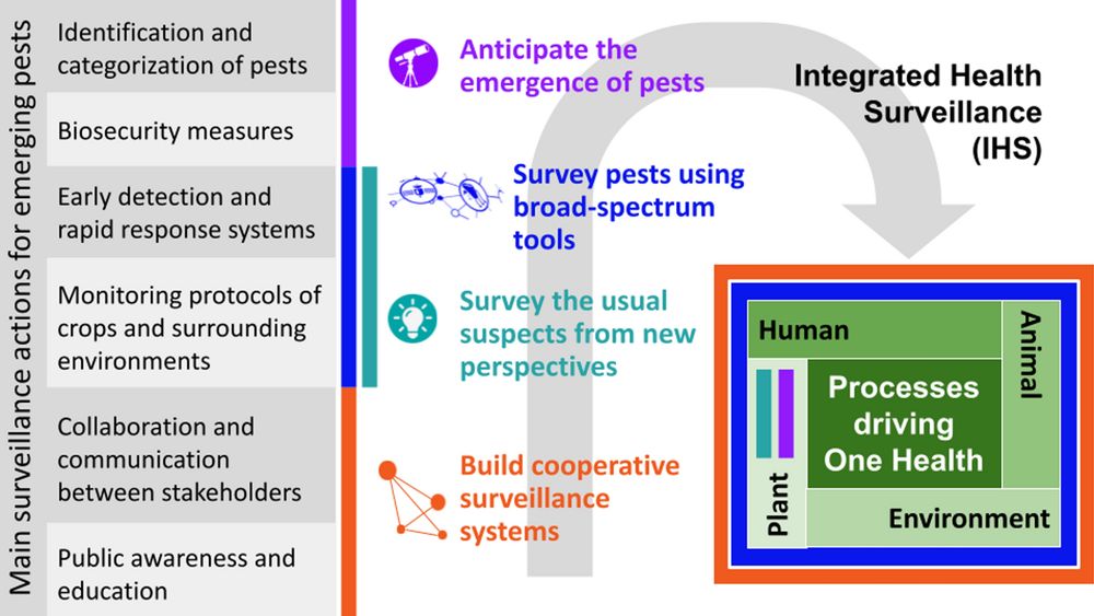 Building integrated plant health surveillance: a proactive research agenda for anticipating and mitigating disease and pest emergence - CABI Agriculture and Bioscience