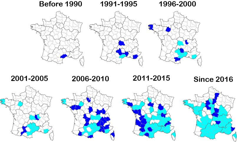 Spatio-temporal invasion of France by Bothriochloa barbinodis since 1990. For each five-year period, newly colonized French Department are shown in dark blue, those already colonized during the previous period are depicted in light blue.