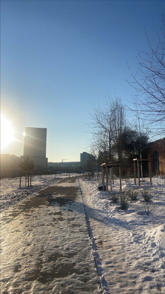 Sun is shinning over an icy pathway towards the train station.