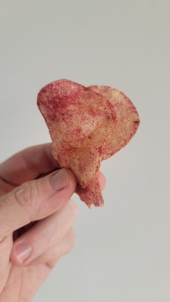 the potato chips in question. they were ketchup flavour