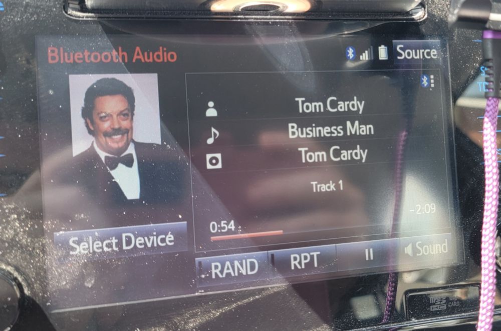 A song by Tom Cardy playing with in my car with an algorithmically-chosen photo of Tim Curry. If you do wanna listen to Business Man by Tom Cardy, grab the animated one on YouTube by Some Eejit, it's GREAT 