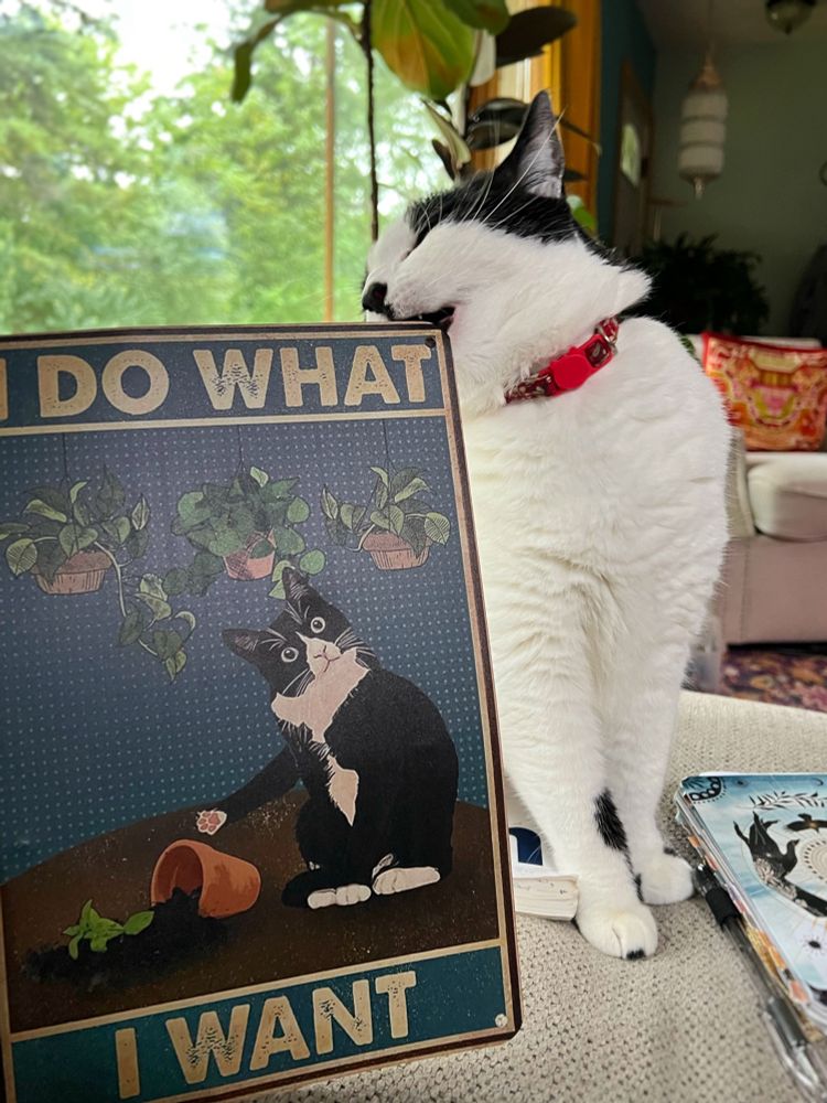 Tuxedo cat biting a sign showing a cat misbehaving with the caption “I do what I want”