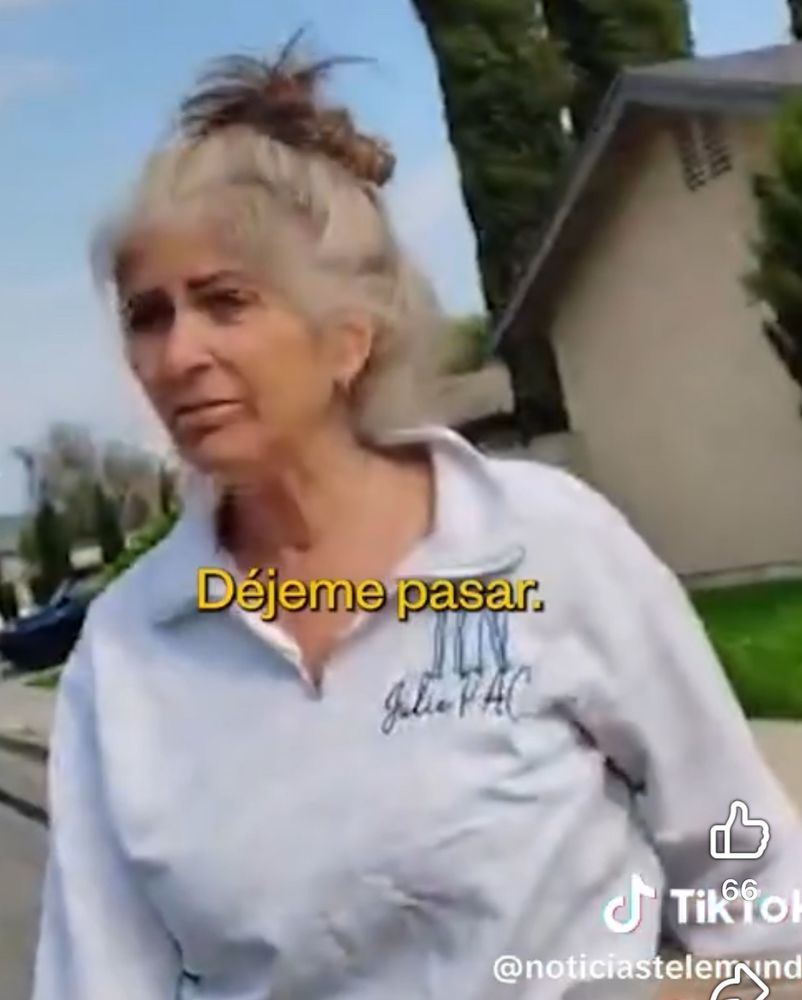Picture of middle aged woman with heavy eye makeup and gray hair leaning in. Screenshot is from video of woman during an assault on the street vendor. 