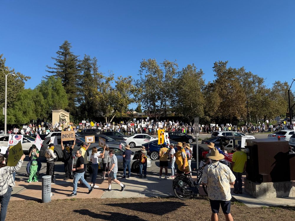 Crowd view of No Kings demonstration 