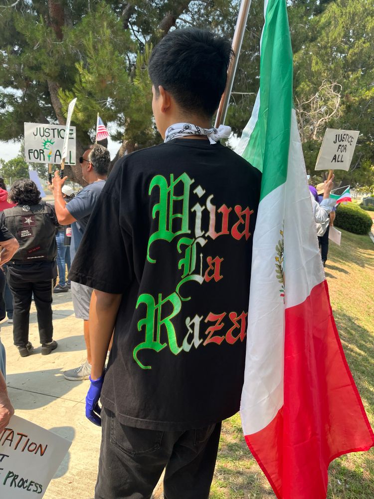Back view of demonstrator holding Mexican flag with Viva La Raza on the back of their shirt. 